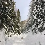 シャレー Unplugged Almhuette Waldbauer *
