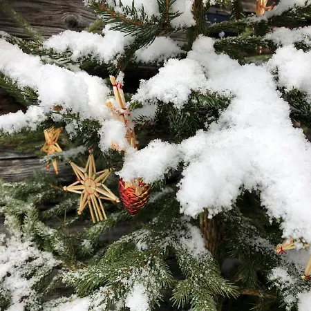 Alpesi faház Unplugged Almhuette Waldbauer