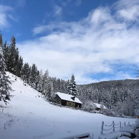 Chalet Unplugged Almhuette Waldbauer *