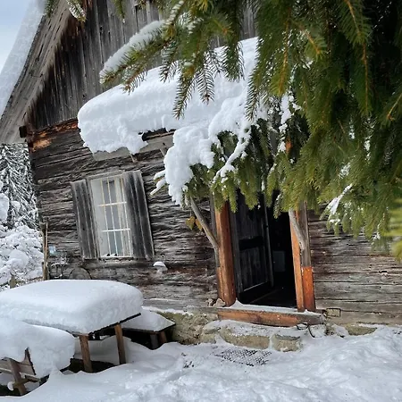 Unplugged Almhuette Waldbauer Dağ evi