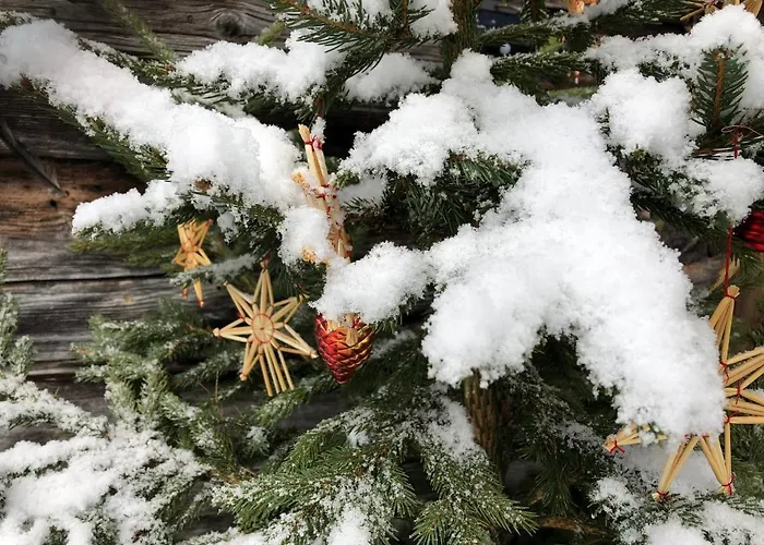 Alpesi faház Unplugged Almhuette Waldbauer