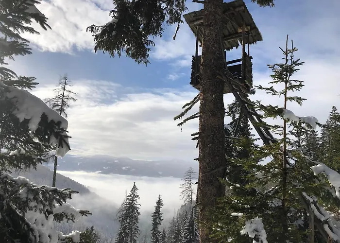 Unplugged Almhuette Waldbauer Chalet *