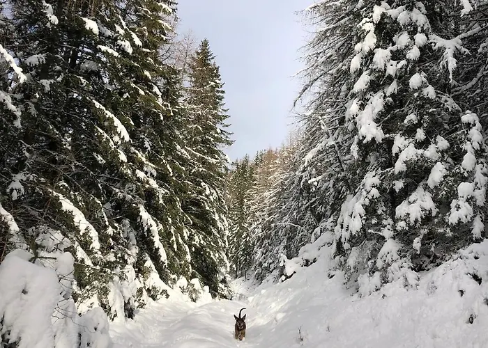 Alpesi faház Unplugged Almhuette Waldbauer *