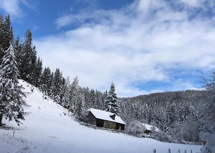 Chalet Unplugged Almhuette Waldbauer *