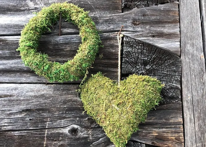 Chalet Unplugged Almhuette Waldbauer