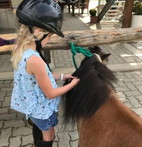 Unplugged Almhuette Waldbauer *