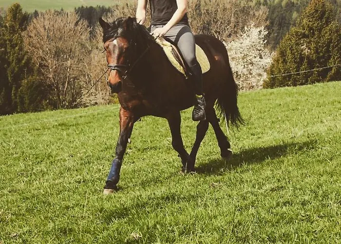 Unplugged Almhuette Waldbauer * Reichenfels