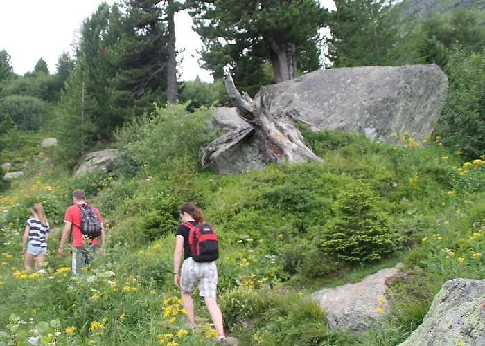 Unplugged Almhuette Waldbauer Alpesi faház *